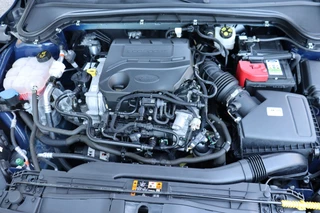 Ford Focus – thumbnail 29
