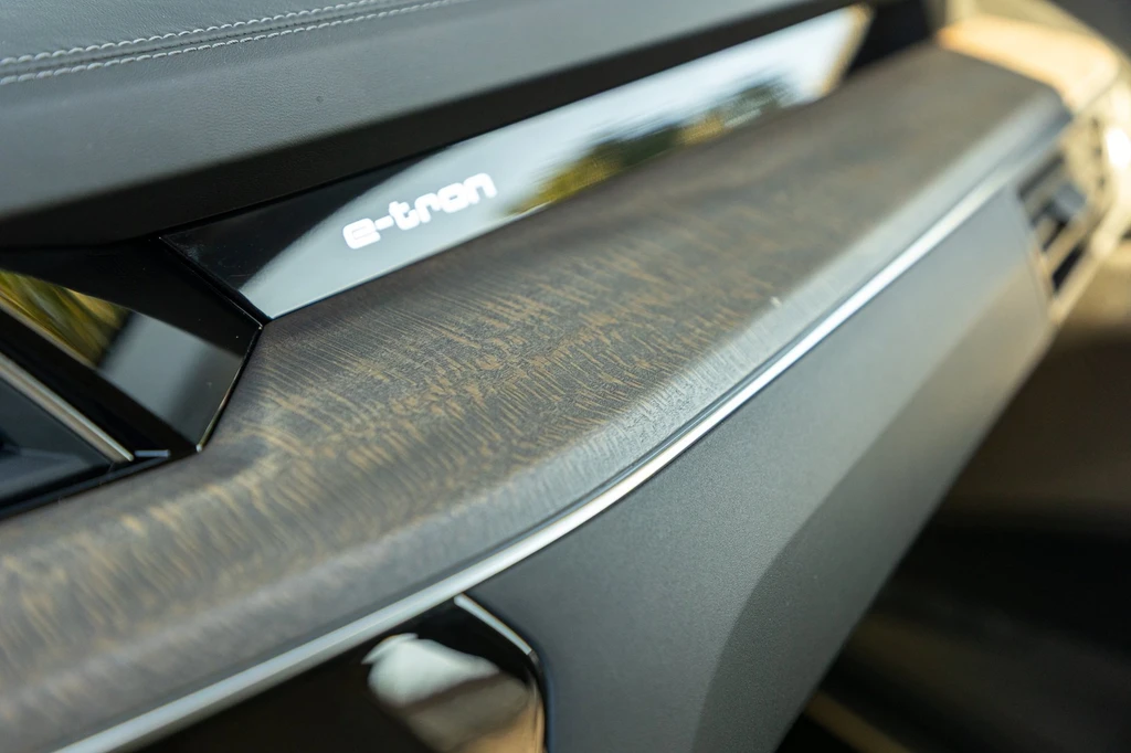 Audi e-tron – foto 59
