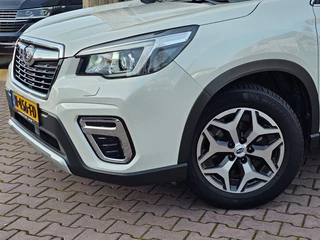 Subaru Forester – thumbnail 52