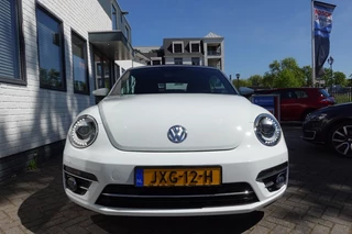 Volkswagen Beetle – thumbnail 10