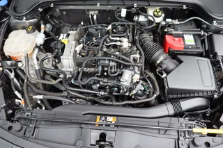 Ford Focus – thumbnail 30
