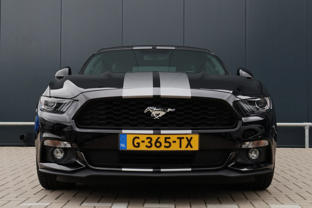 Ford Mustang – foto 8