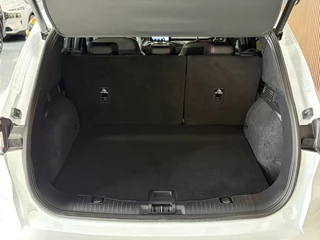 Ford Kuga – thumbnail 16