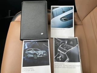 Lexus NX – thumbnail 29