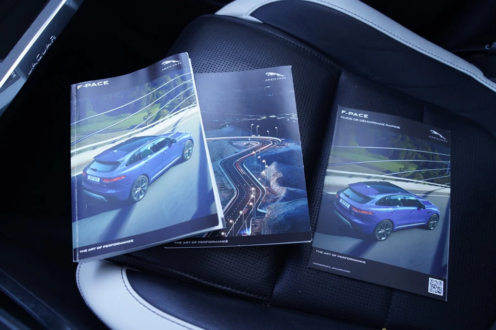 Jaguar F-PACE – foto 35