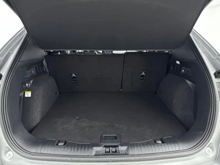 Ford Kuga – thumbnail 19