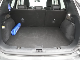 Ford Kuga – thumbnail 50