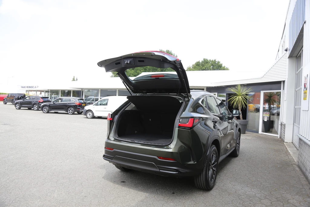 Lexus NX – foto 13