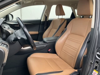 Lexus NX – thumbnail 15