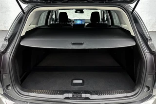 Ford Focus – thumbnail 19