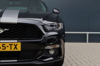 Ford Mustang – thumbnail 9