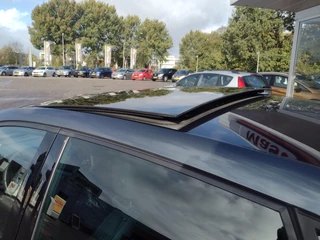 SEAT Ibiza – thumbnail 18