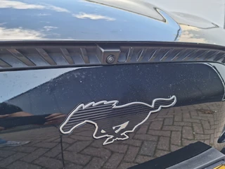 Ford Mustang Mach-E – thumbnail 48