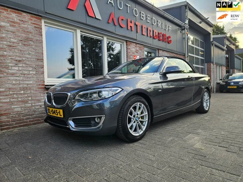 BMW 2-serie Cabrio 218i Executive Automaat! NAP! Leer! Airco/Clima! Cruise Control! Leuke Auto!