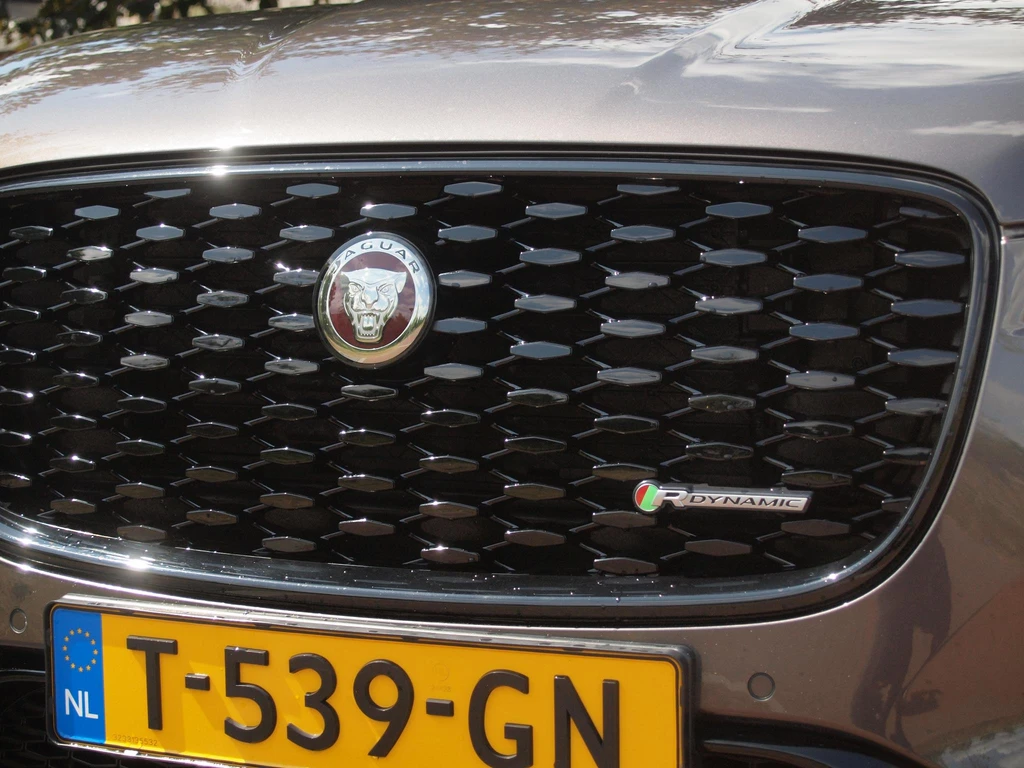 Jaguar F-PACE – foto 12