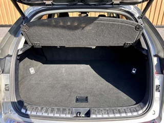 Lexus NX – thumbnail 28