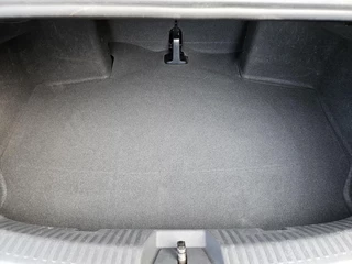 Volkswagen Beetle – thumbnail 24