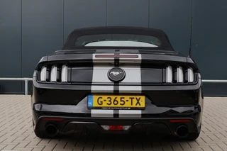 Ford Mustang – thumbnail 6