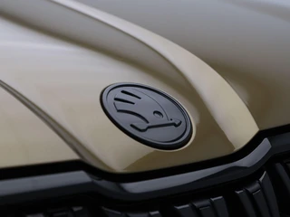 Škoda Kodiaq – thumbnail 11