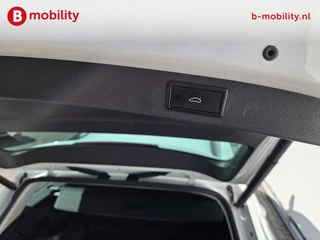 Škoda Kodiaq – thumbnail 21