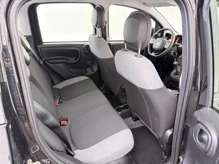 Fiat Panda – thumbnail 19