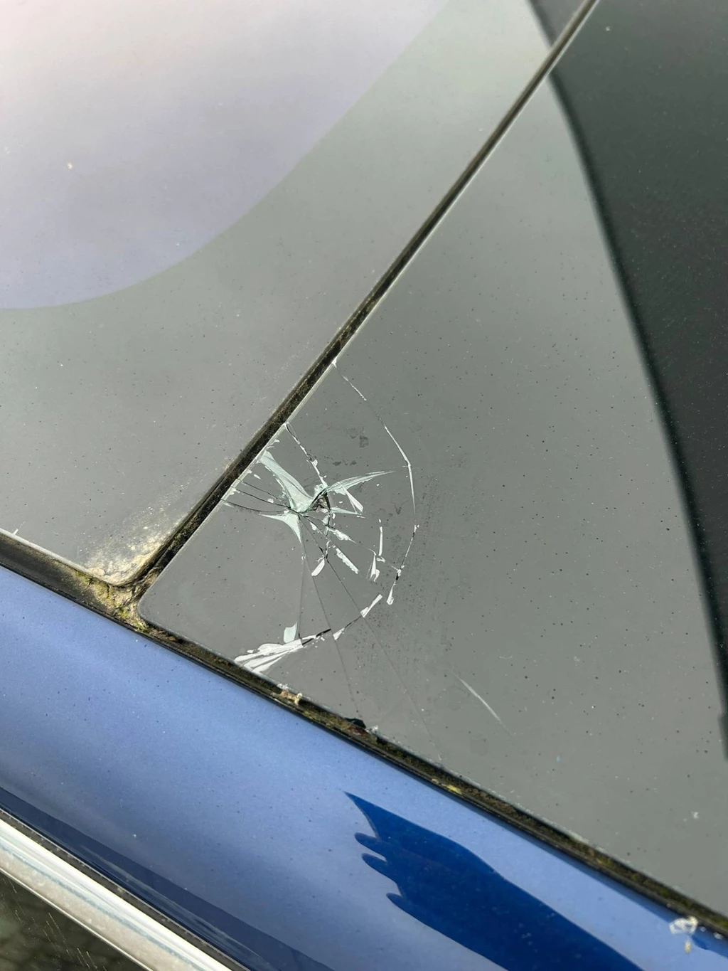 Tesla Model 3 – foto 21