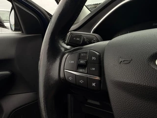 Ford Focus – thumbnail 12