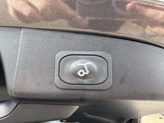 Ford Focus – thumbnail 12