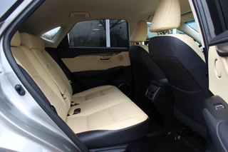 Lexus NX – thumbnail 14