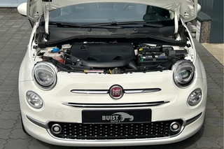 Fiat 500 – thumbnail 8