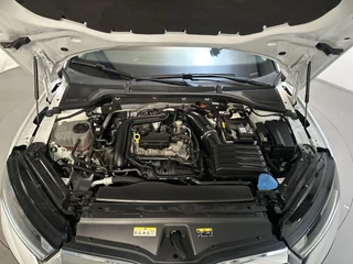 Škoda Octavia – thumbnail 17