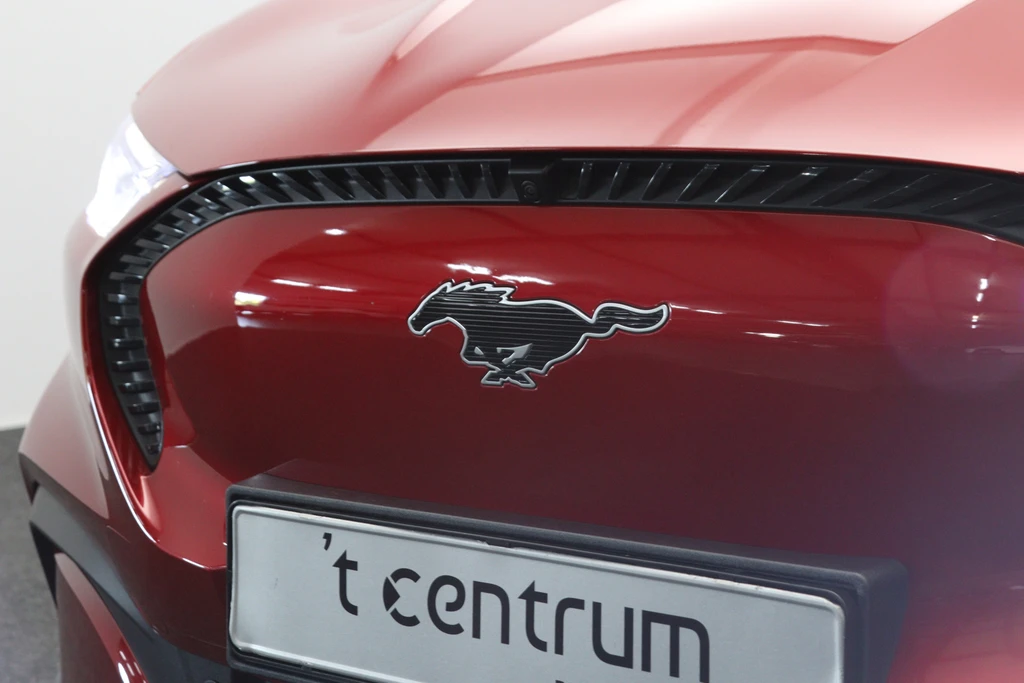 Ford Mustang Mach-E – foto 19