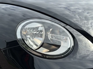 Volkswagen Beetle – thumbnail 21