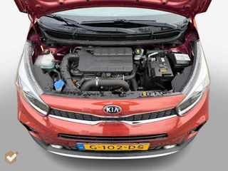 Kia Picanto – thumbnail 16