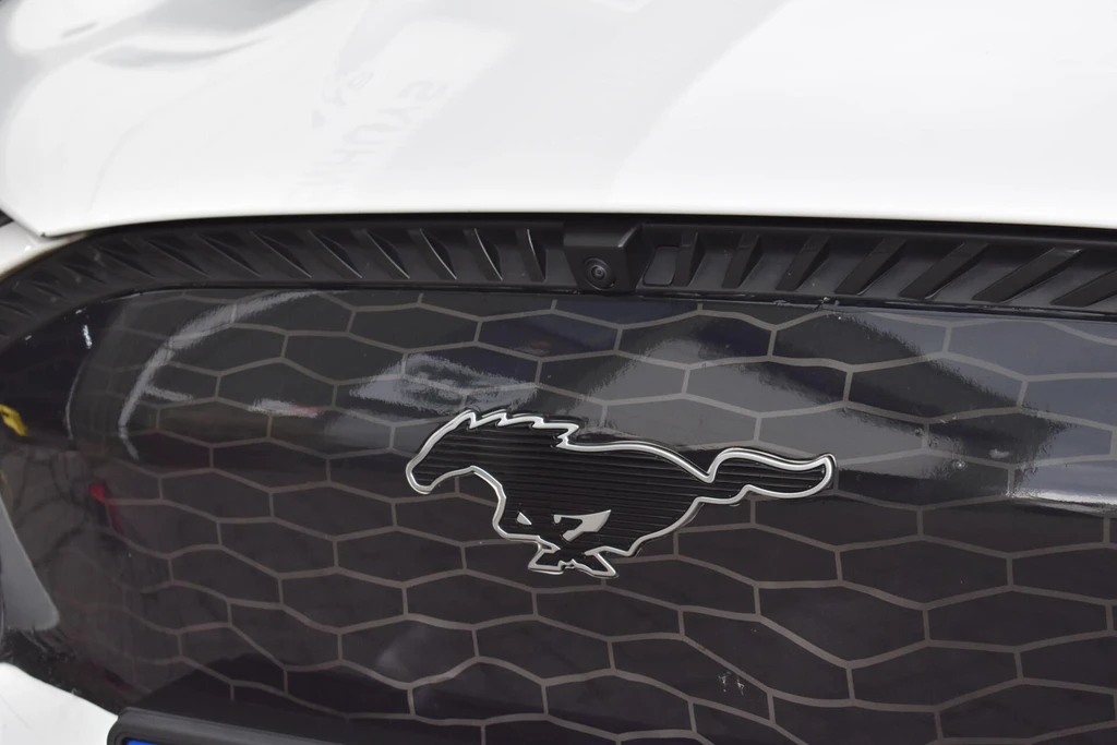 Ford Mustang Mach-E – foto 41