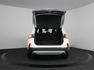Ford Kuga – thumbnail 12
