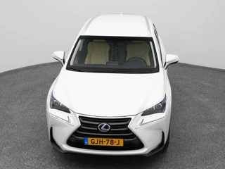 Lexus NX – thumbnail 16