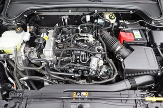 Ford Focus – thumbnail 29