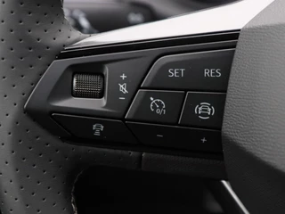 SEAT Ibiza – thumbnail 19