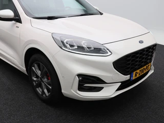 Ford Kuga – thumbnail 7
