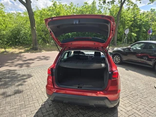SEAT Arona – thumbnail 11