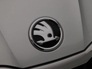 Škoda Fabia – thumbnail 14