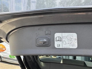 Ford Kuga – thumbnail 13