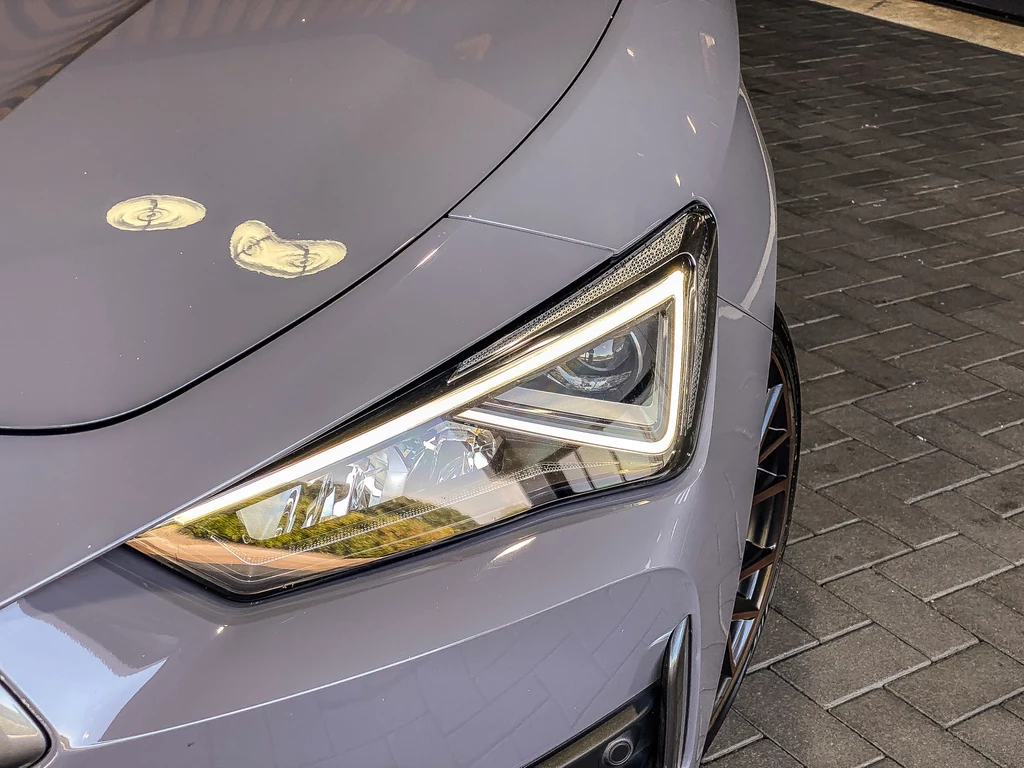 CUPRA Leon Sportstourer – foto 38