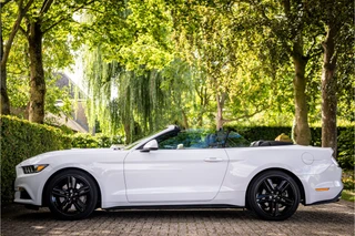 Ford Mustang – thumbnail 4