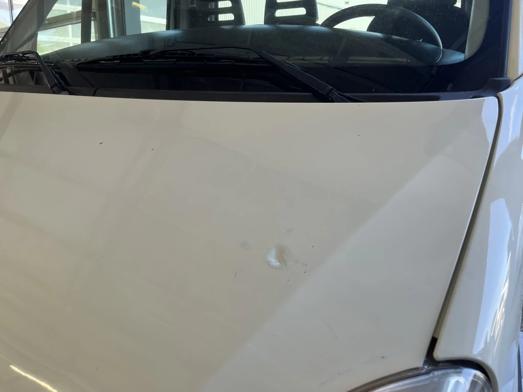 Iveco Daily – foto 44