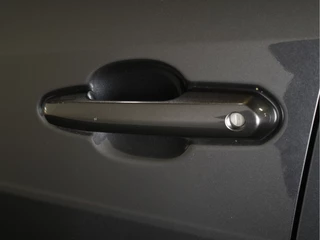 Suzuki Across – thumbnail 8
