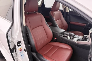 Lexus NX – thumbnail 16