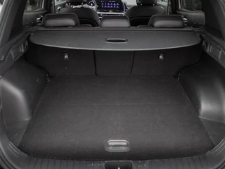 Kia Sportage – thumbnail 8