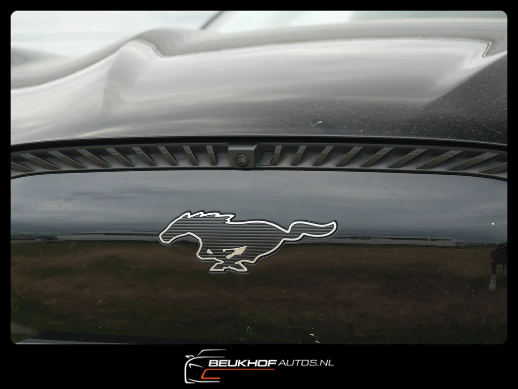 Ford Mustang Mach-E – foto 28